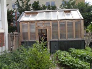 Greenhouse