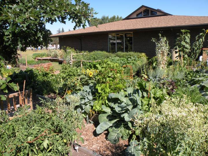 garden glorious Sep 2013