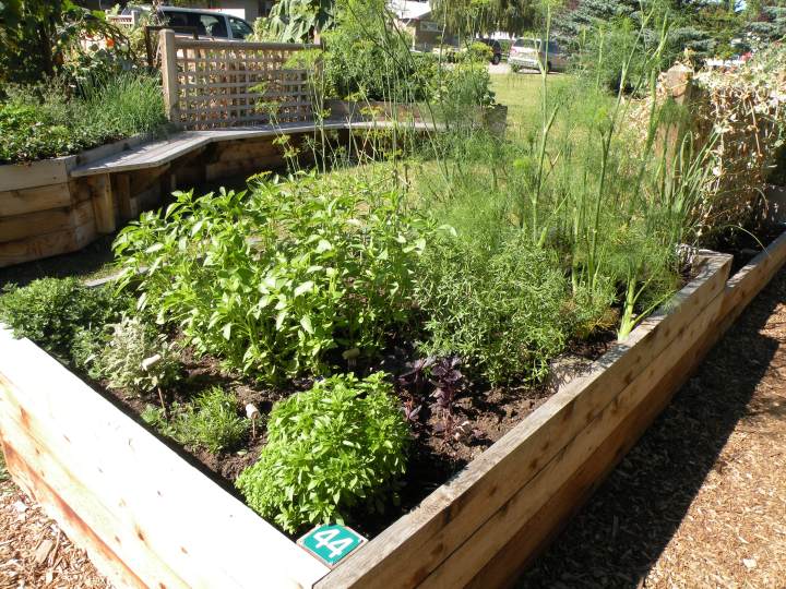 the herbs are ready to eat!